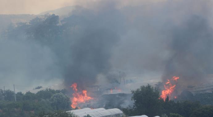 Kumluca'da orman yangını: 4 ev yandı
