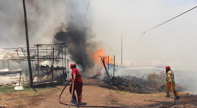 Kumluca'da orman yangını: 4 ev yandı