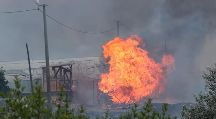 Kumluca'da orman yangını: 4 ev yandı