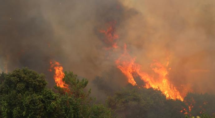 Kumluca'da orman yangını: 4 ev yandı