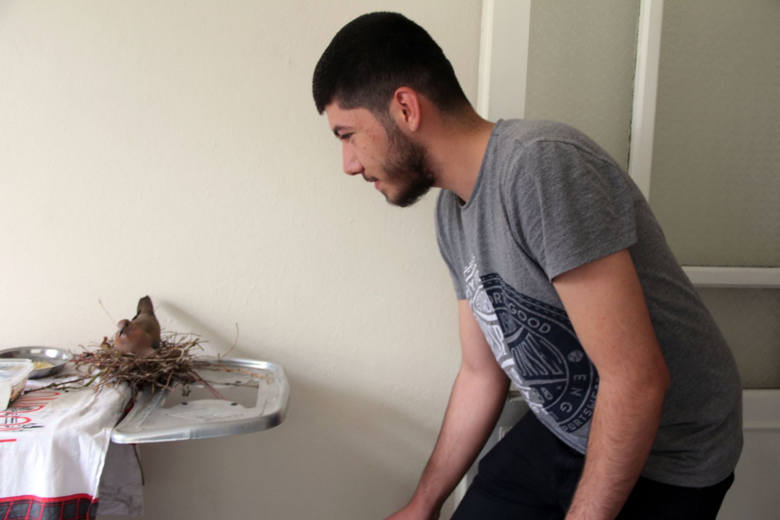 Kumru ütü masasına yuva yaptı! ‘Bu işte bir hayır vardır’ deyip gözlerini oradan ayırmıyorlar