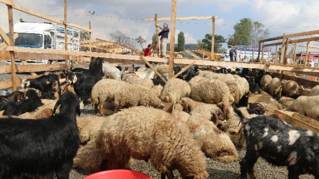 E-kurban yoğun talep görüyor