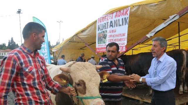 E-kurban yoğun talep görüyor