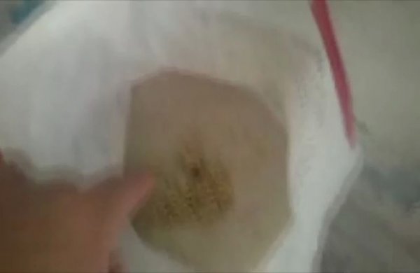 Birleşmiş Milletler Afrin için harekete geçiyor