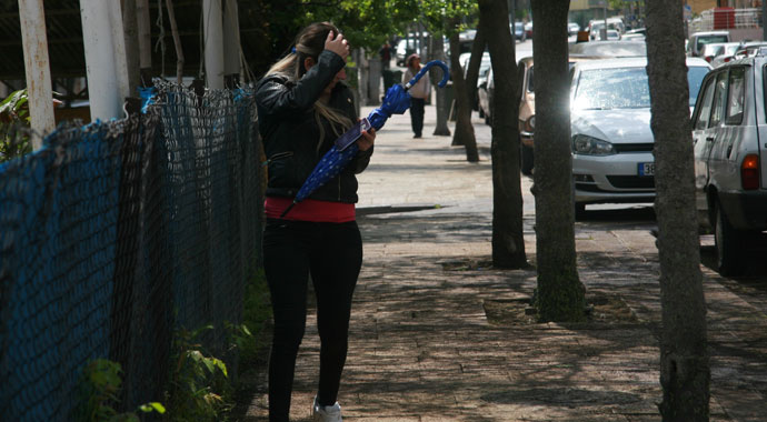 Ağaçları ve kaldırımı kurtlar bastı, yayalar koşarak geçiyor