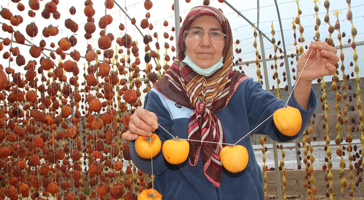 Yaşı 5, kurusu 100 lira: Çöpe gidiyordu, şimdi 20 katına satıyorlar