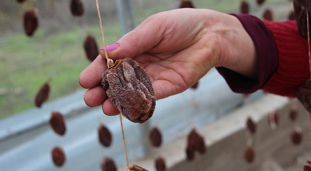 Yaşı 5, kurusu 100 lira: Çöpe gidiyordu, şimdi 20 katına satıyorlar