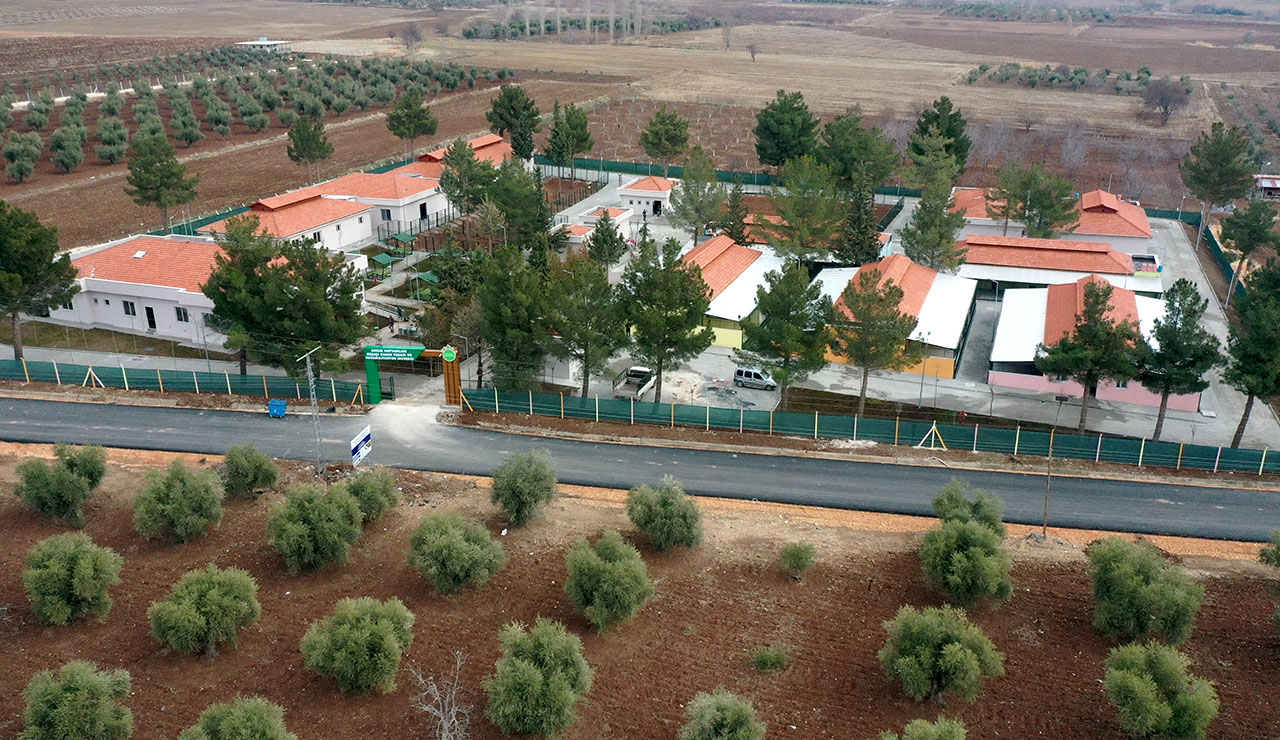 Hayvan barınakları için teşvik müjdesi: Hazineden arsa, bankadan para