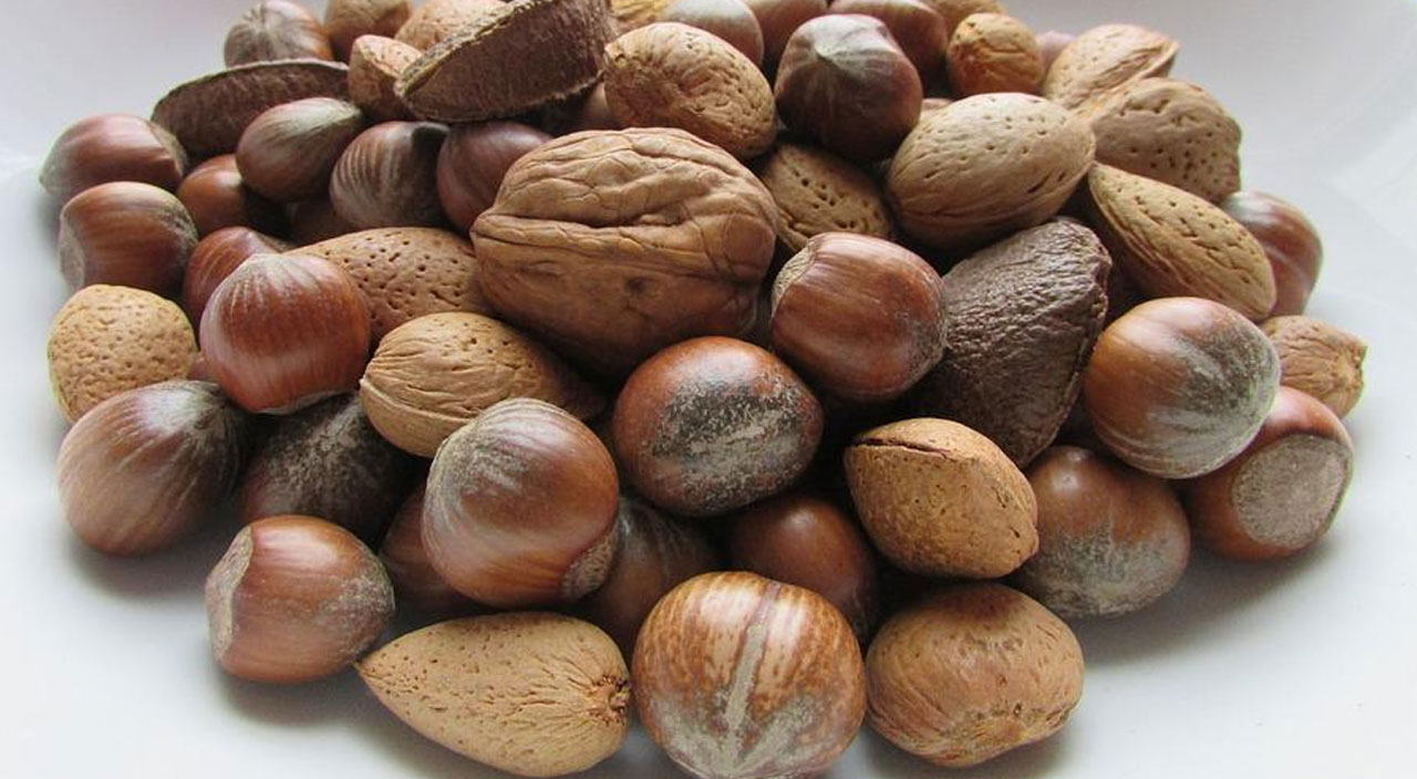 Kilo vermeye engel oluyor: Diyet yaparken en sık yapılan 8 hata