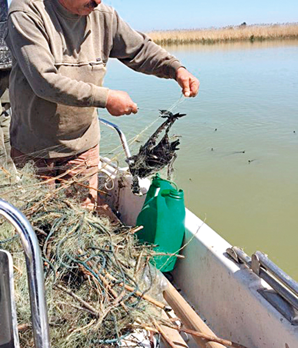 Kuş cenneti cehennem oldu
