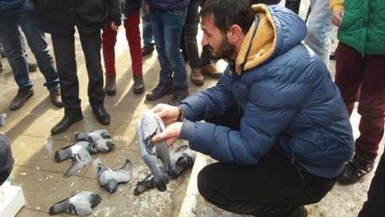 Kırıkkkale'de güvercin katliamı