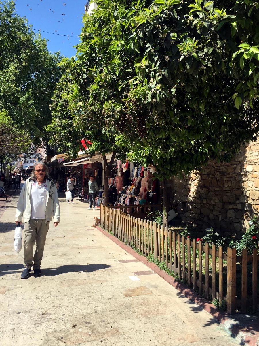 Kuşadası'nda tedirgin eden görüntü! Kimse yaklaştırılmadı...