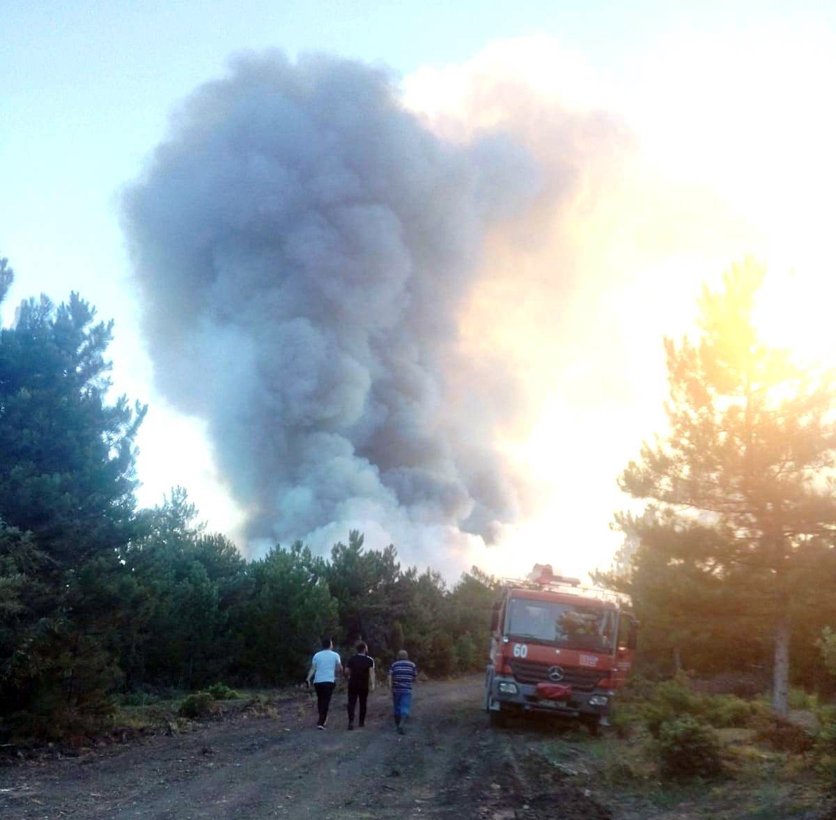Kütahya'da orman yangını