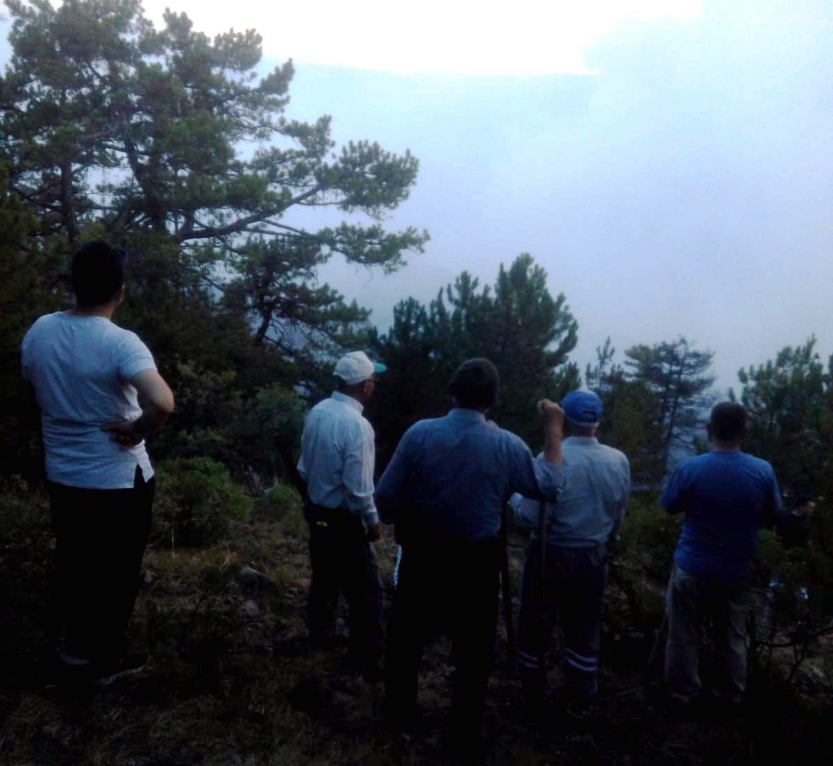 Kütahya'da orman yangını