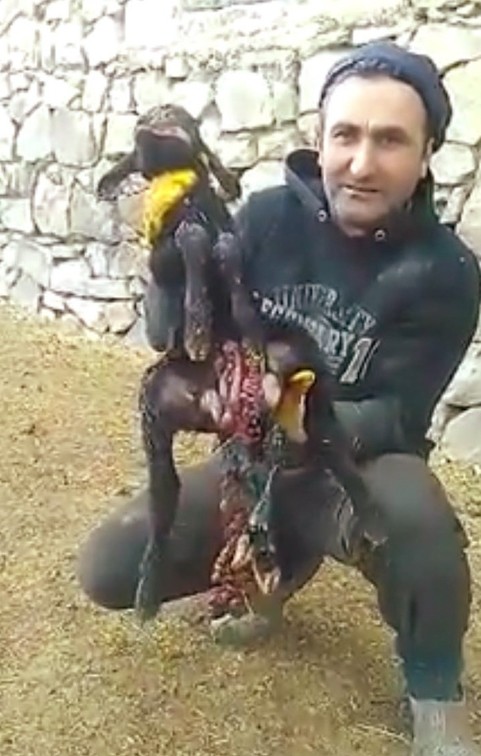 Gören şok oldu! Altı ayaklı,iki çeneli,iki dilli kuzu görenleri şaşırtıyor