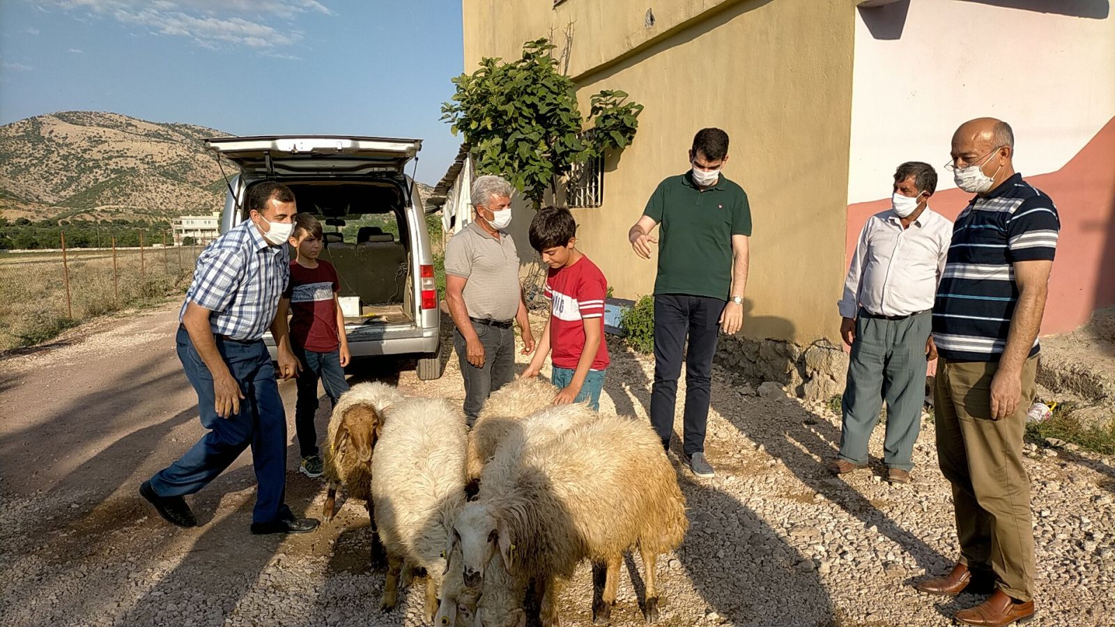 Ölen kuzusu için gözyaşları döken çocuğa, kaymakam kuzu hediye etti