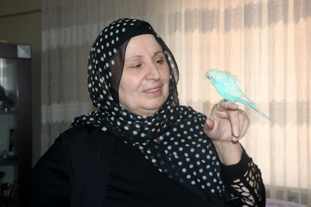 Kuş dile geldi, PKK'ya beddua etti