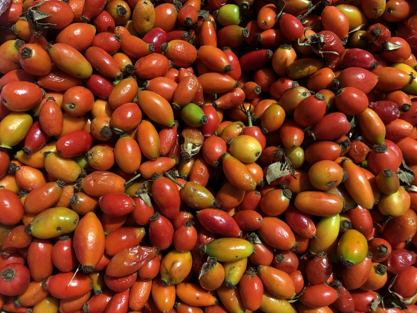 Bir avucu, bir kasa portakala eşdeğer vitaminde... Korona sonrası kapış kapış gidiyor!