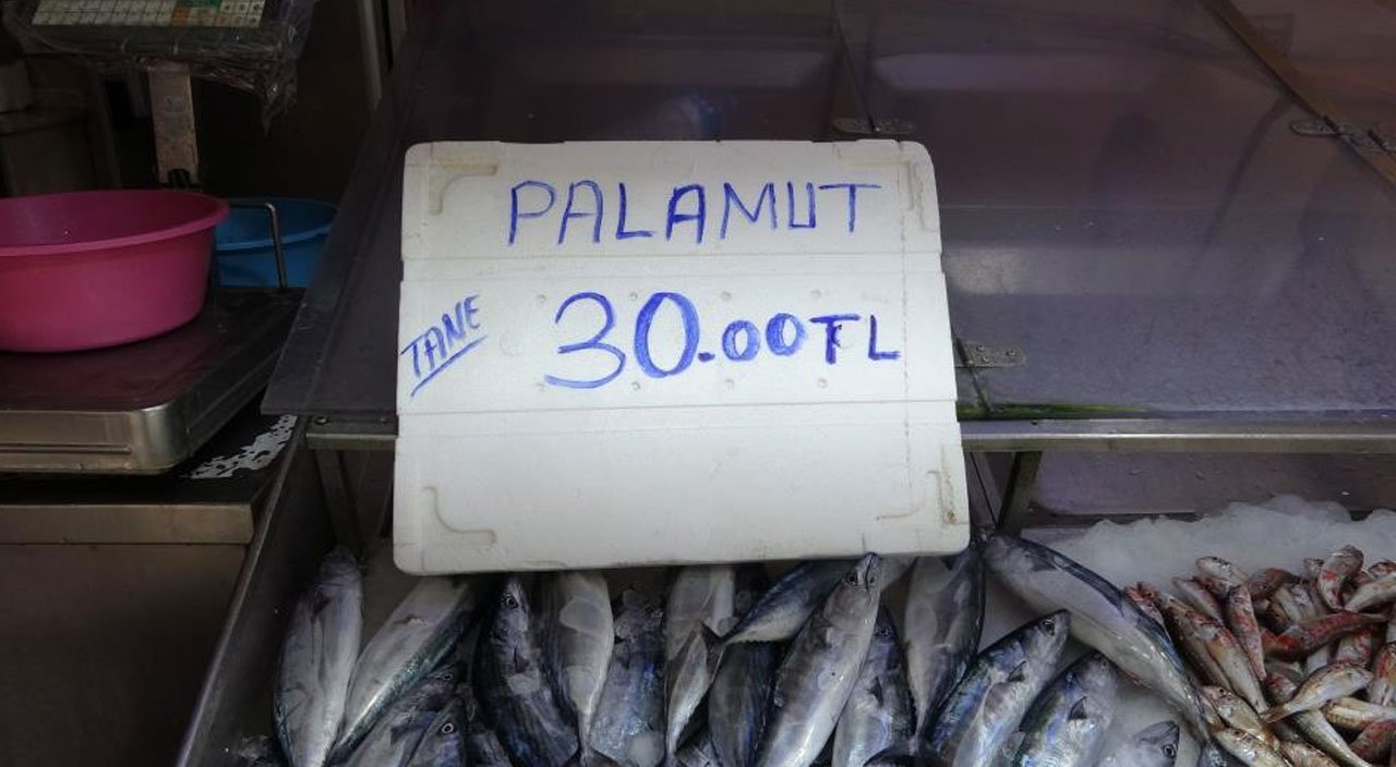 Palamut bolluğu balıkçıların yüzünü güldürdü! Tanesi 30 liradan tezgahlarda