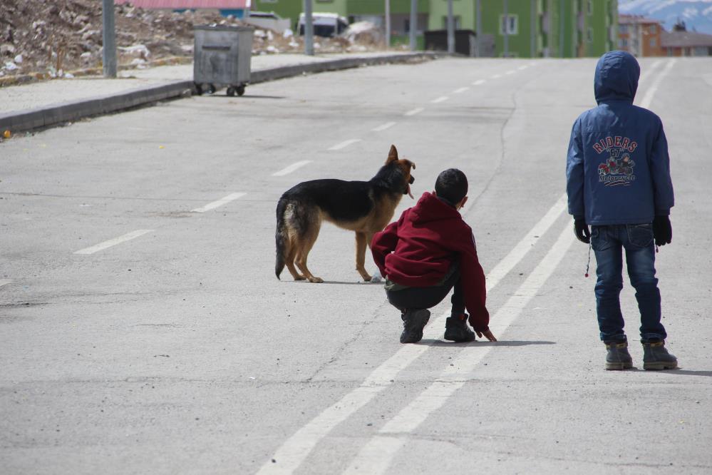 İşkence edilen köpeğe çocuklar sahip çıktı