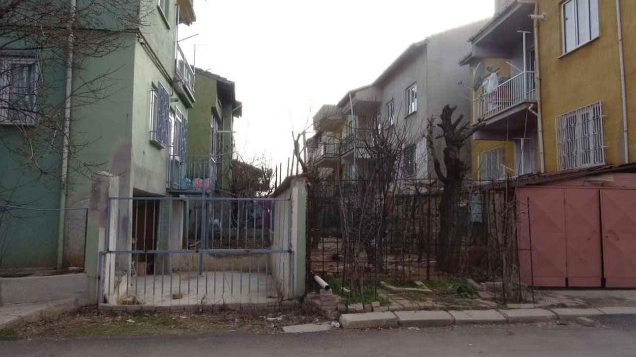 Komşuların köpek kavgası kanlı bitti