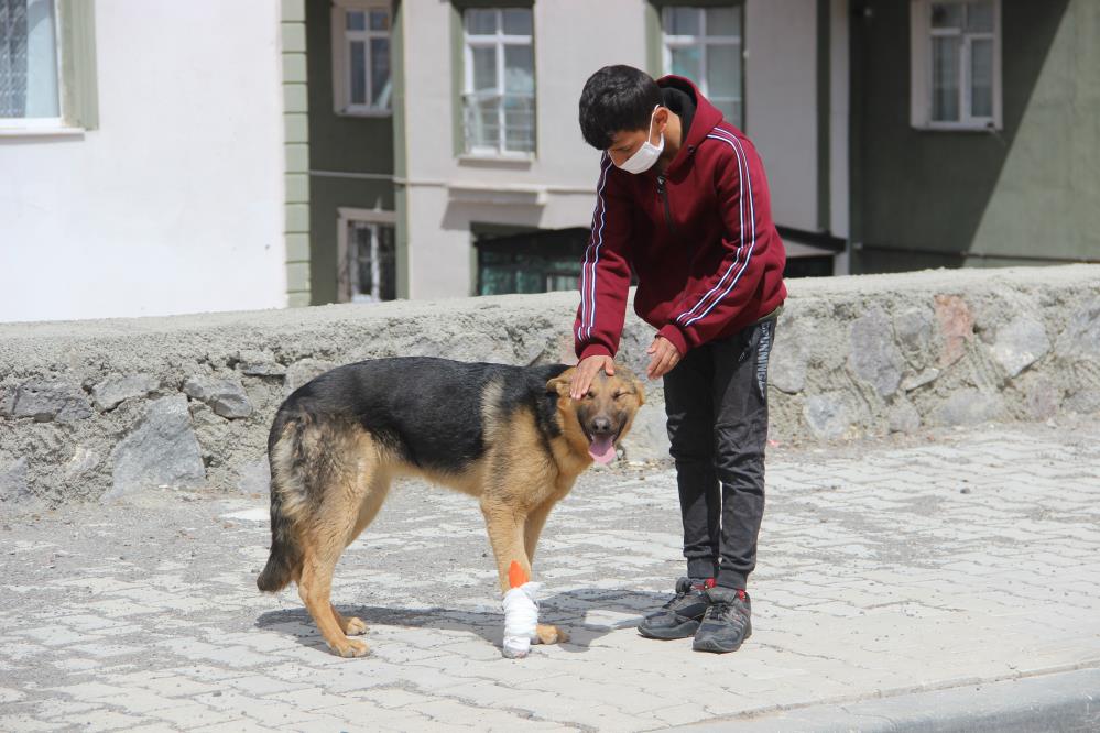 İşkence edilen köpeğe çocuklar sahip çıktı