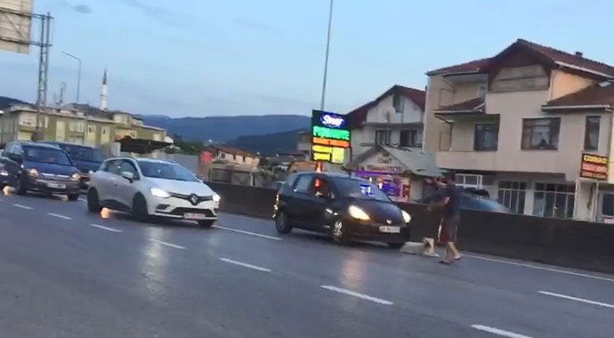 Yolun ortasına yatan köpek trafiği felç etti