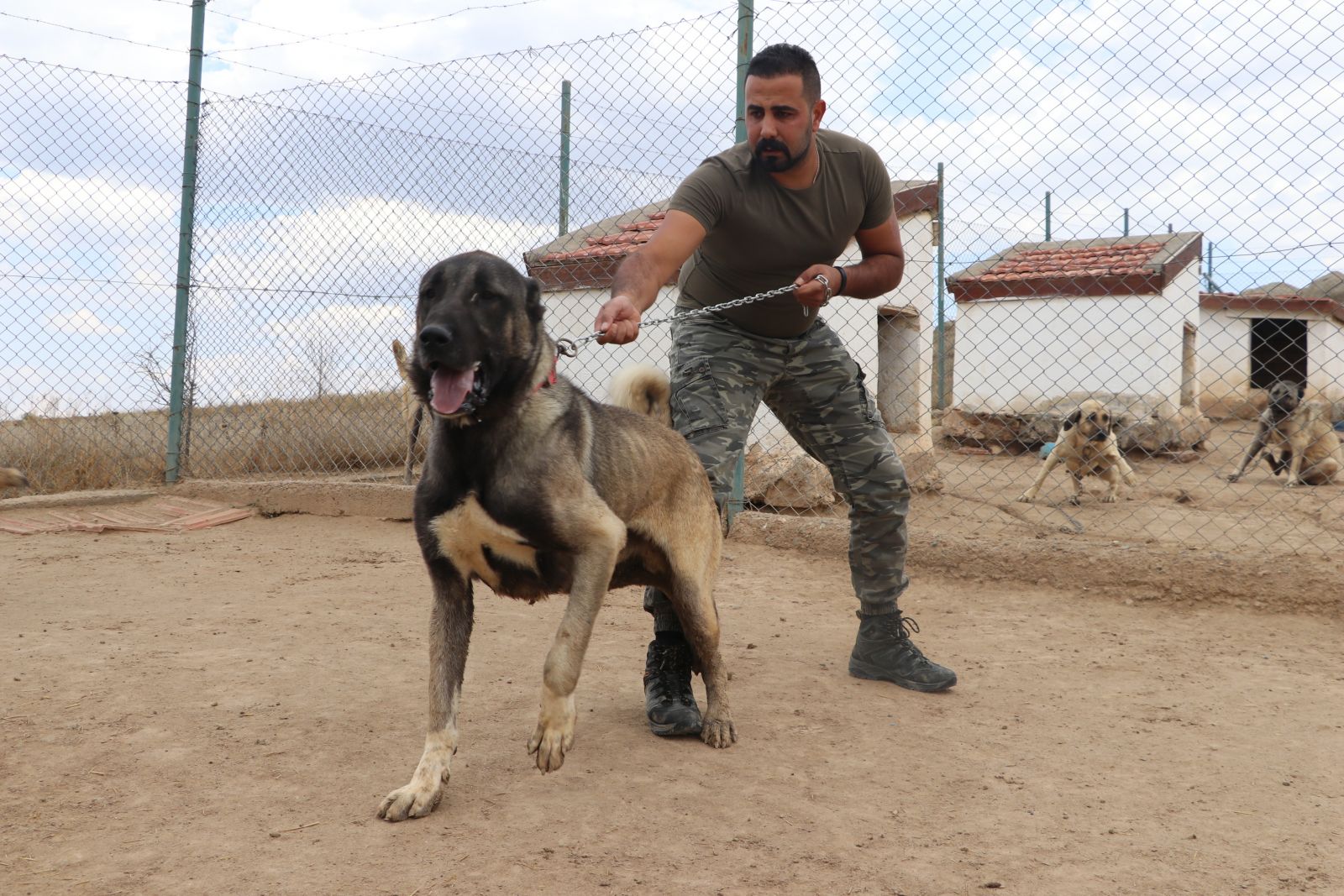 Lüks bir otomobil fiyatında, değeri dudak uçuklatıyor