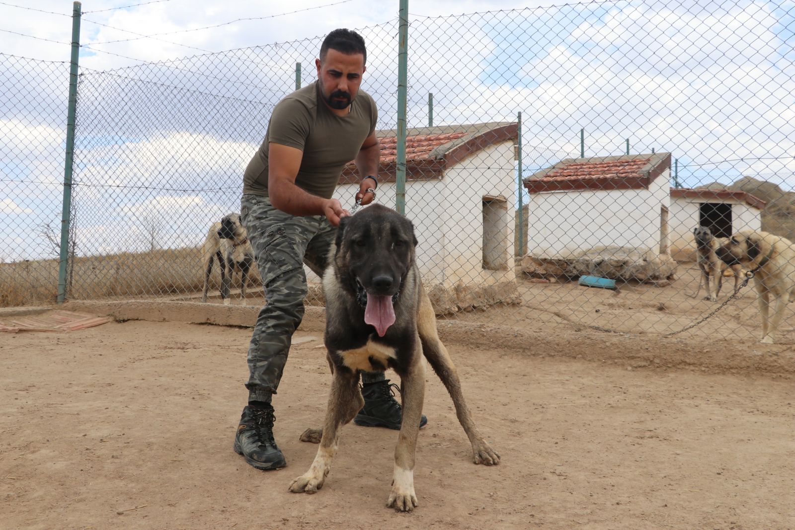 Lüks bir otomobil fiyatında, değeri dudak uçuklatıyor