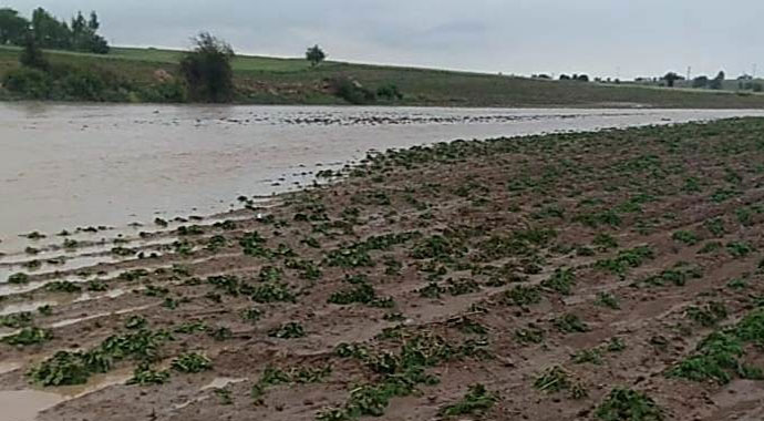 Sağanak yağışlar köyleri vurdu