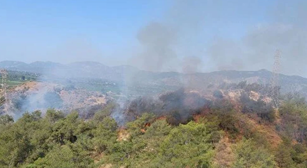 Muğla'da orman yangını