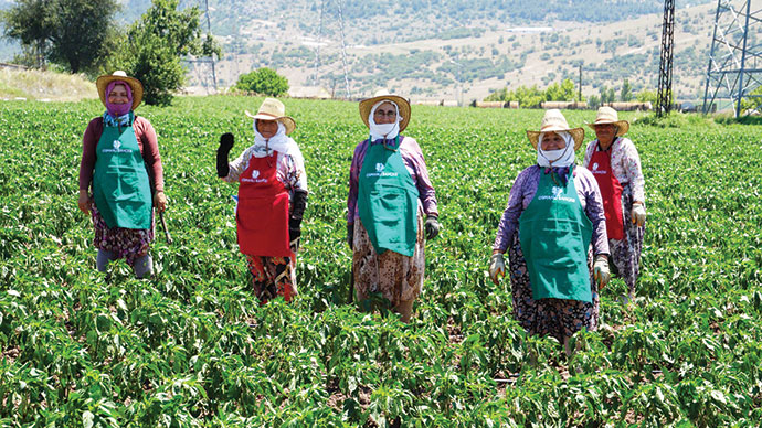 Yerli tohumla hayallerine kavuştu