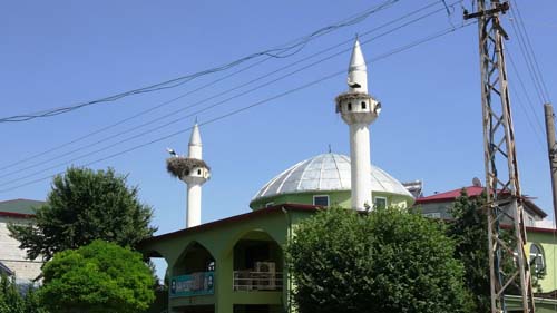 6 yıldır göç etmiyorlar!