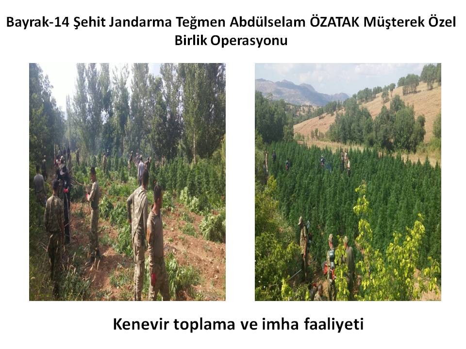 Lice operasyonunda ele geçirilenler