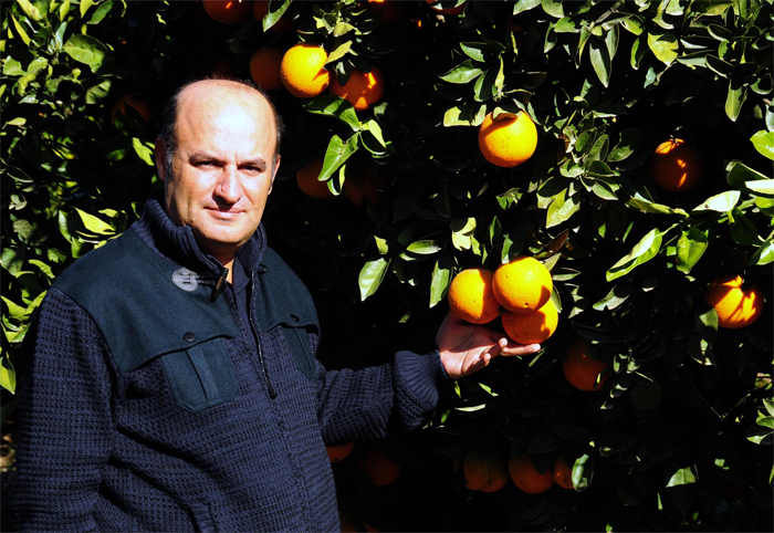 Cahit İncefikir: Rusya'ya limon da vermeyelim Cahit İncefikir: Rusya'ya limon da vermeyelim