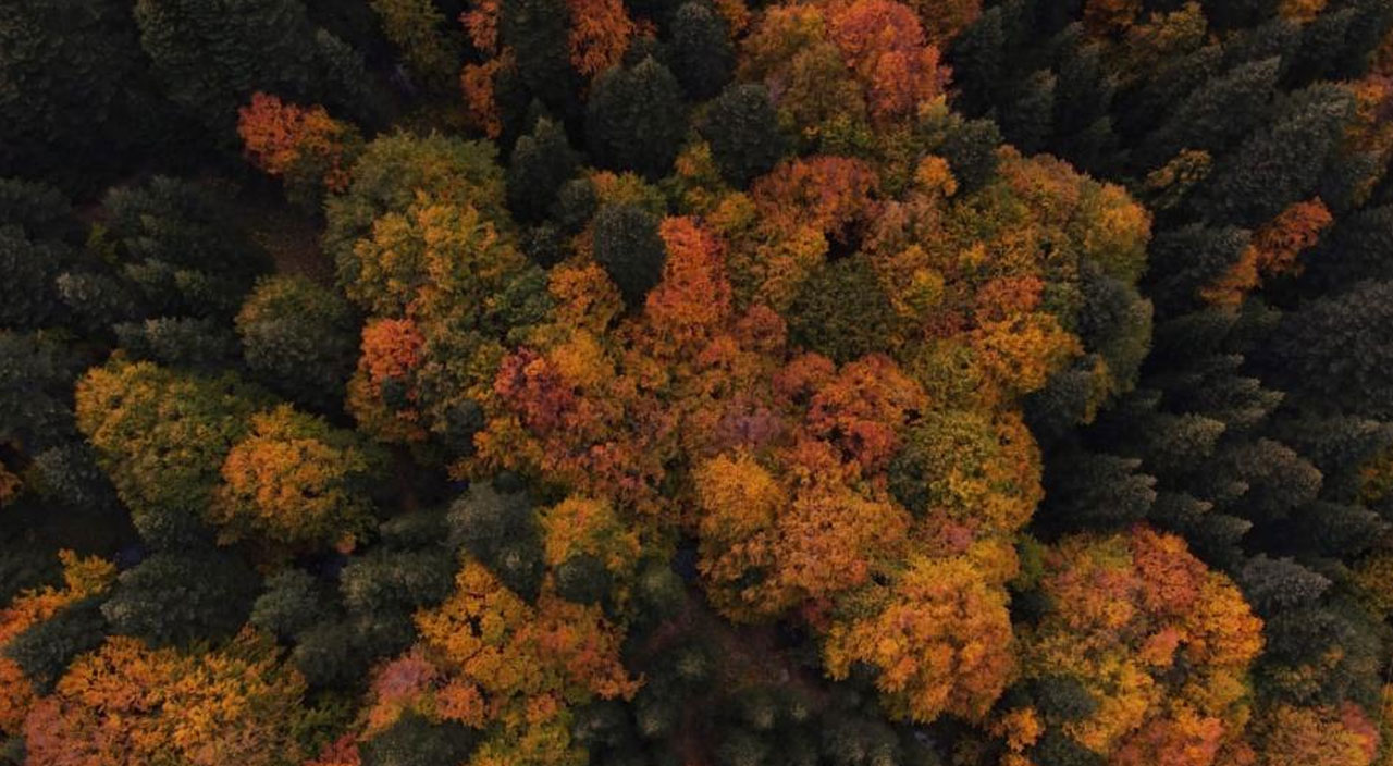 Uludağ için tehlike çanları çaldı: Su kaynakları tükenmek üzere