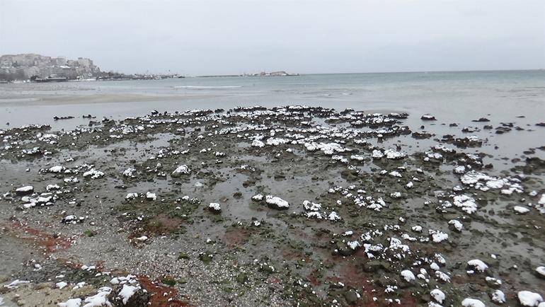 Şaşırtan görüntü! Tekirdağ'da 30, Silivri'de 150 metre deniz çekildi
