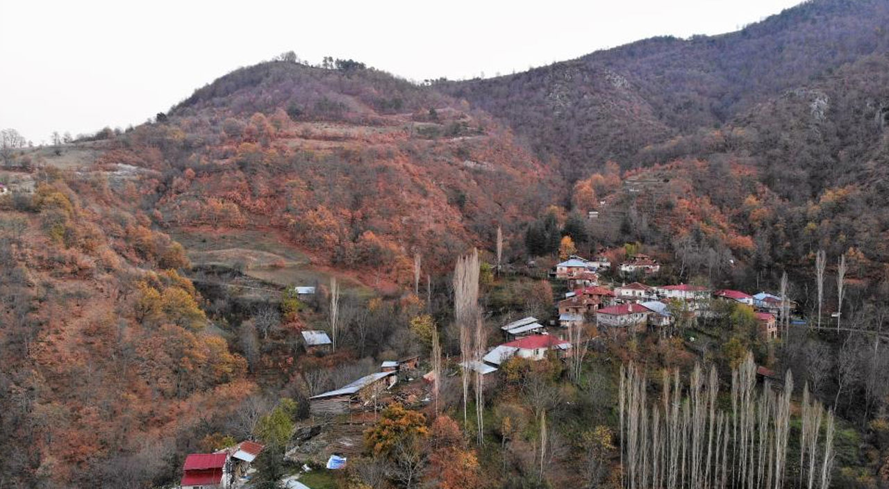 Ayı ile güreşen Tokatlı taburcu oldu: ‘Cesareti olsa geri gelirdi’