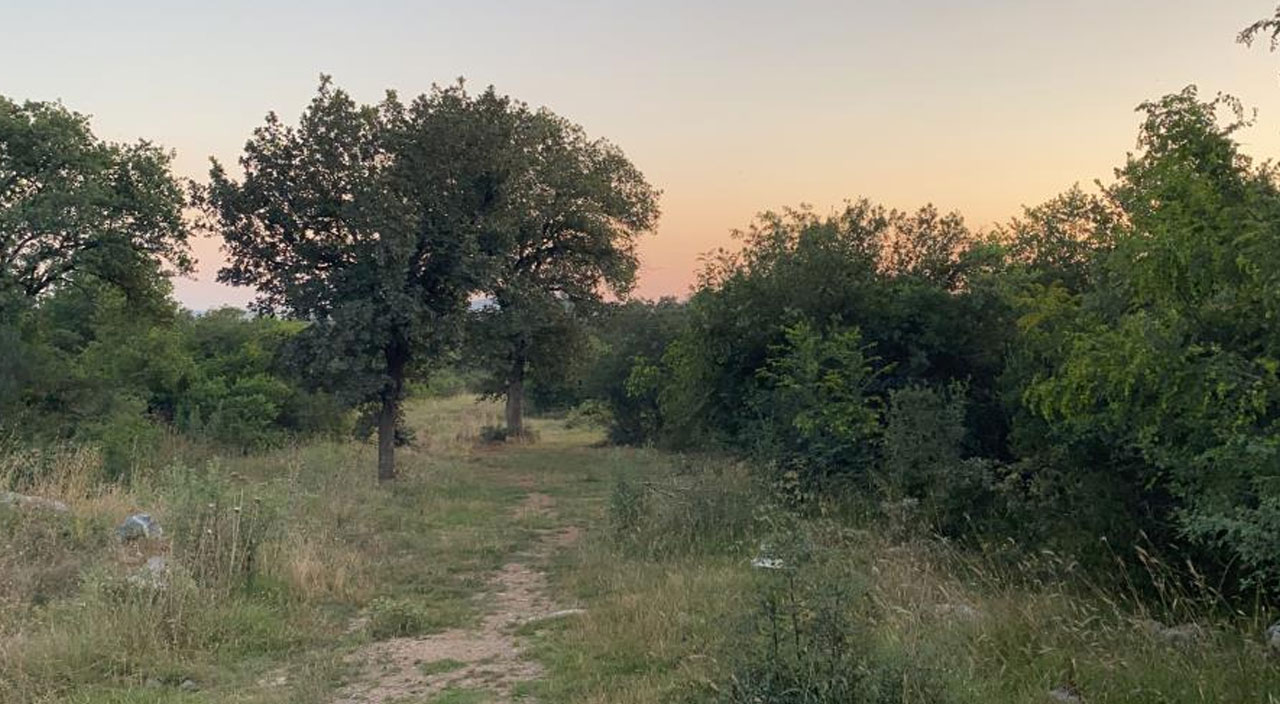 Ormanda saldırıya uğrayan 17 yaşındaki genç kız 5 aylık yaşam mücadelesini kaybetti