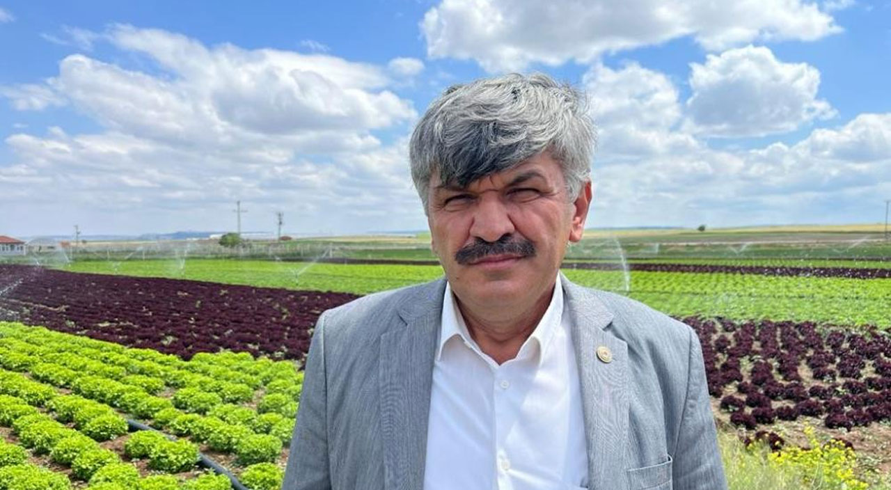 Çiftçi de üretici de şikayetçi: Tarlada 1 markette 8 lira