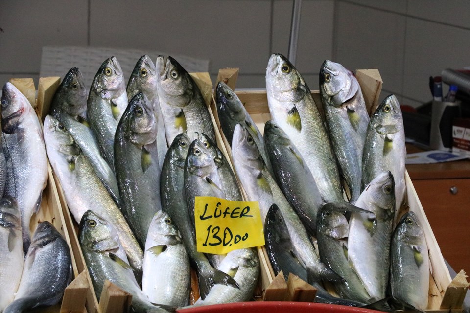 'Denizlerin prensi' gram altının yarı fiyatına...