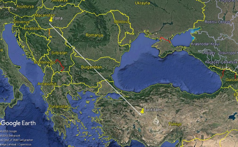 34 yaşındaki dünyanın en ihtiyar leyleği elektrik tellerinde can verdi