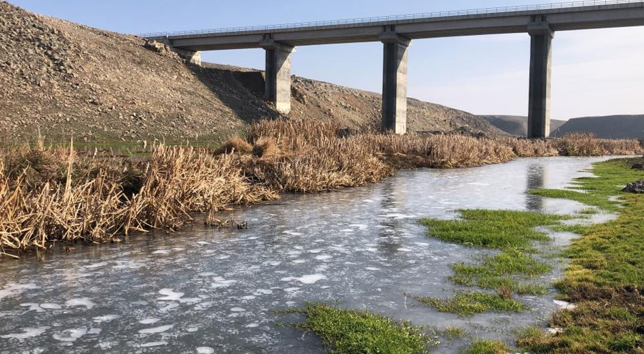 Kars'ta dereler dondu hava eksi 12'yi gördü