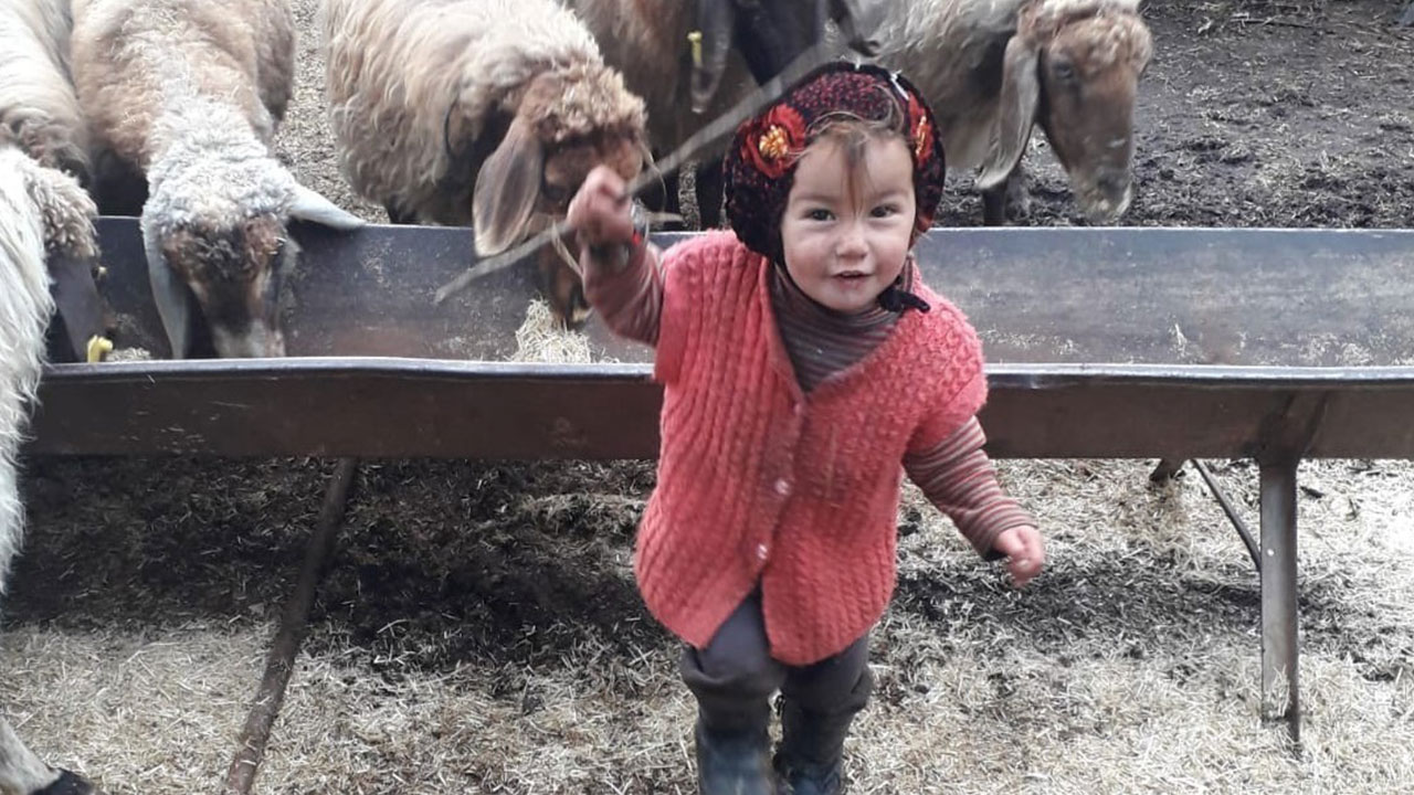 Müslüme'nin dedesi ile Başak Cengiz'in katili aynı hapishanede Müslüme'nin dedesi ile Başak Cengiz'in katili aynı hapishanede