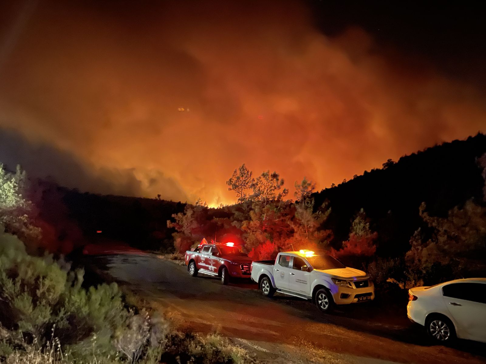 Marmaris'teki yangında 3. gün! Yangın büyük oranda kontrol altına alındı