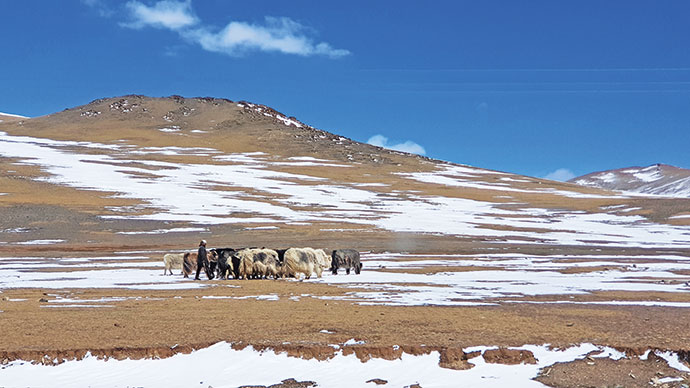 Kar çölü Moğolistan