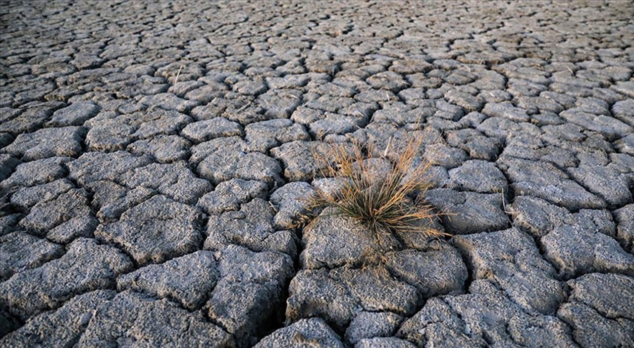 Çevre ve Şehircilik Bakanı Murat Kurum: İklim Kanunu hazırlanıyor