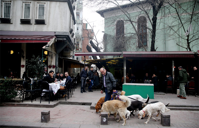 Mesleğini özleyip köpek gezdiriciliği yapmaya başladı