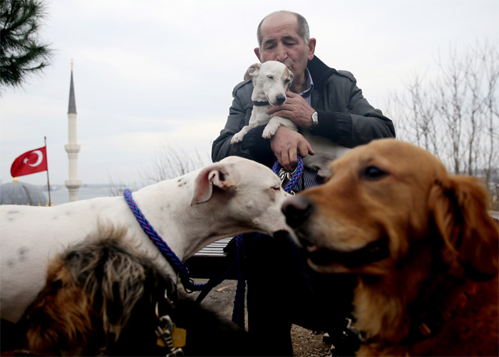 Mesleğini özleyip köpek gezdiriciliği yapmaya başladı