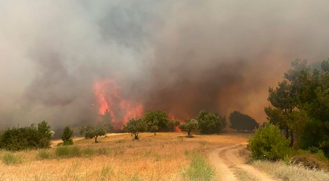 Manisa'da orman yangını: Rüzgarın etkisiyle hızla yayılıyor